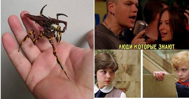 Осенняя подборка для любителей кино и мемов