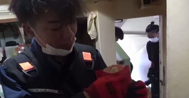 Уборщики нашли в заваленной мусором квартире старую картошку фри, которая выглядела свежей