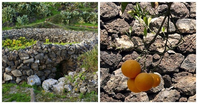 Пантеллерия – остров-крепость, где апельсины зреют за каменными стенами