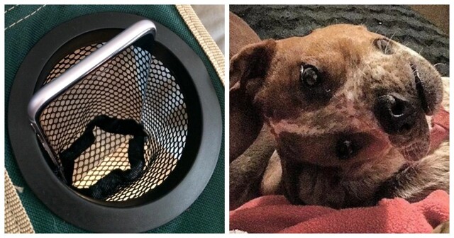 20 примеров того, как искусно мозг умеет обманывать восприятие