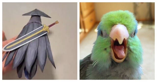 Забавный костюм для попугая