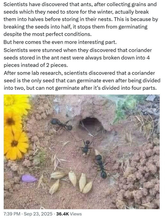 Ученые обратили внимание на одну интересную особенность