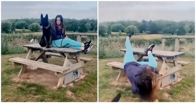 Собаки выгуливают своих людей