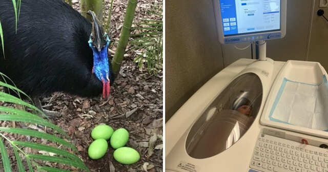 16 случаев, когда люди сталкивались с интересными странностями