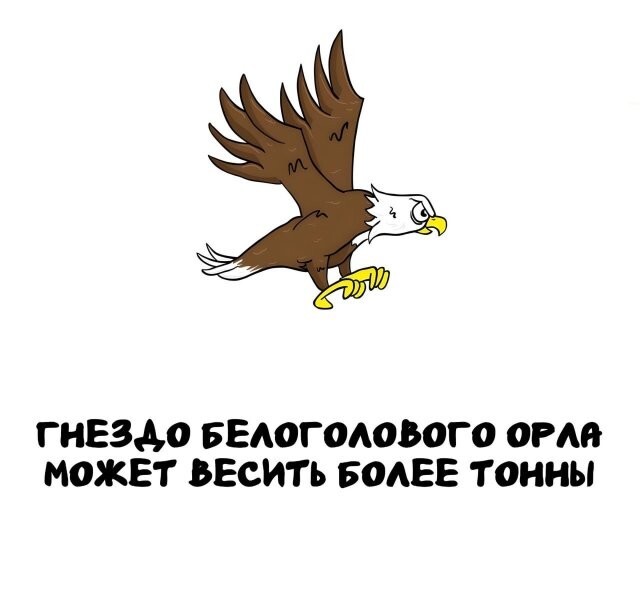 А вдруг ты не знал…