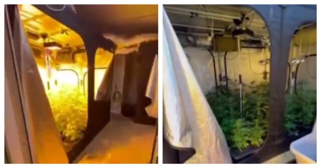 Силовики нагрянули к очередному "весёлому фермеру"