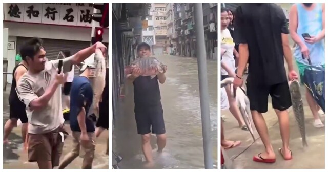 После тайфуна Рагаса жители Китая ловили рыбу прямо на улицах