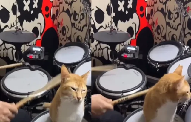 Массаж барабанной палочкой