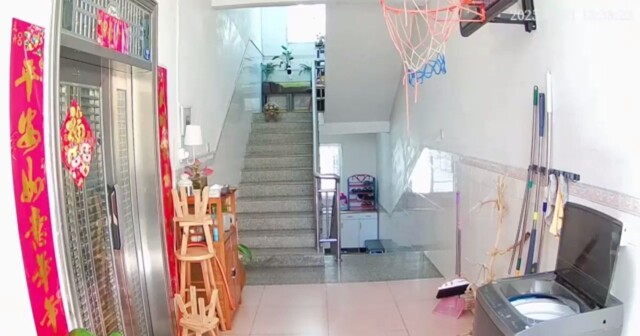 Как черепаха по лестнице спуститься пыталась