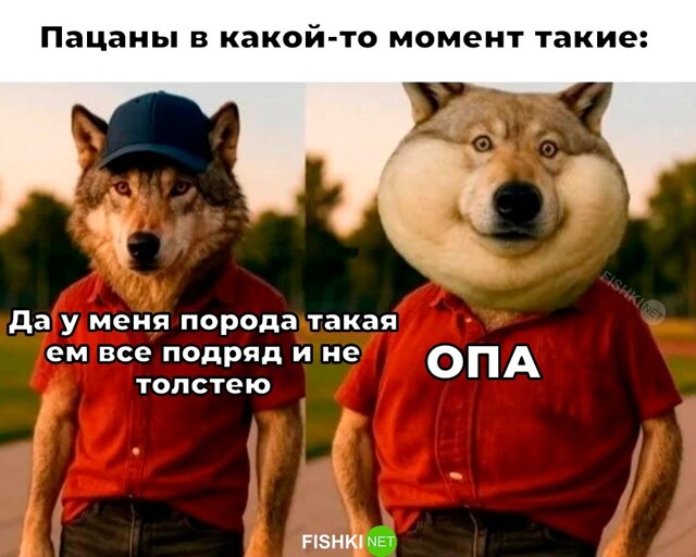 Намешалось