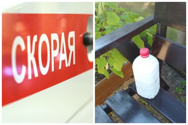 В Ленинградской области от палёного алкоголя умерли 12 человек