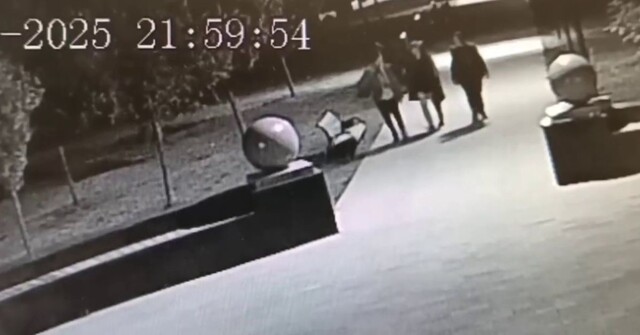 Подростки скинули гранитный шар в парке в Подмосковье