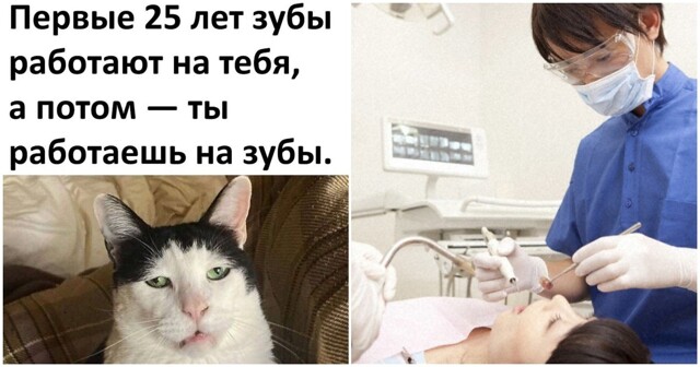 Зубы будущего: японцы обещают чудо к 2030 году