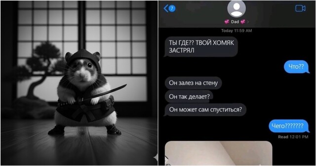 Боевой хомяк показал, как правильно сбегать от проблем