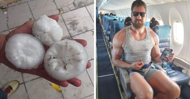 14 вещей и живых существ, которые выделяются своим нестандартно большим размером