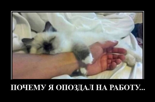 Смешные и странные демотиваторы на злобу дня