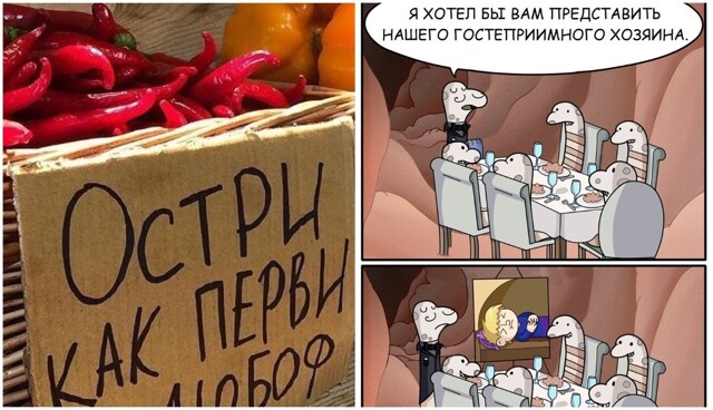 Не просто приправа: чили против паразитов