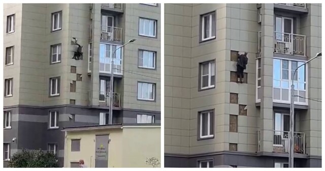 Петербуржец полез на седьмой этаж по фасаду, чтобы помириться с девушкой