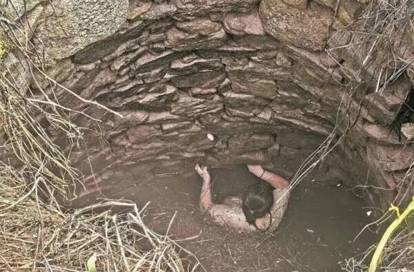 Китаянка упала в старый колодец со змеями и  провисела там, держась за стену, прежде чем ее спасли