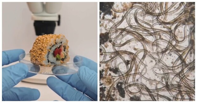Блогер показал, как выглядят роллы под микроскопом