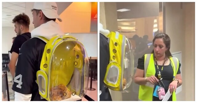 Пассажир пронёс жареную курицу в самолёт, назвав её «животным эмоциональной поддержки»