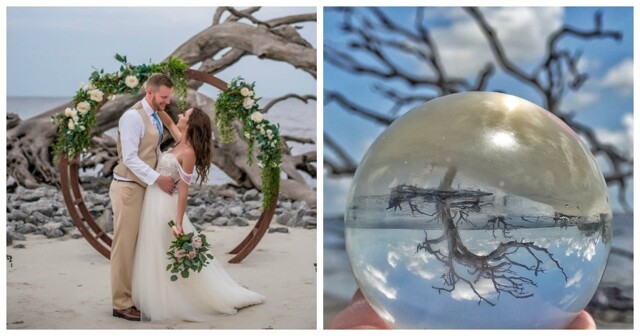 Таинственный пляж выбеленных деревьев острова Джекилл