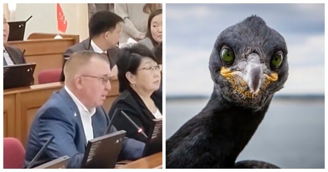 «Мочить в сортире»: бурятский депутат призвал  устроить «настоящую борьбу» бакланам