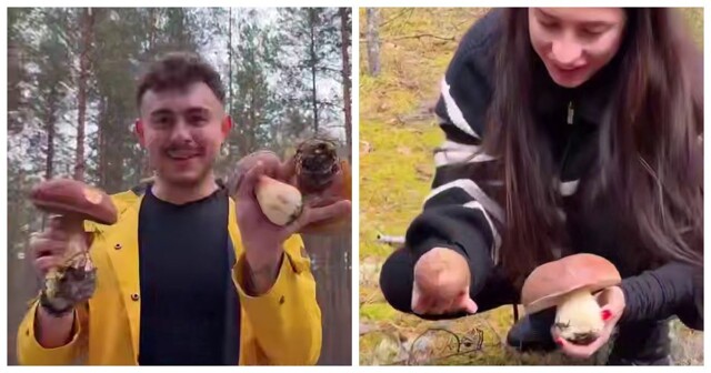 15 тысяч за поляну: на рынке появились GPS-метки грибных мест