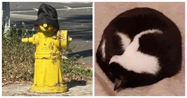 17 примеров того, как наш мозг оживляет неживое