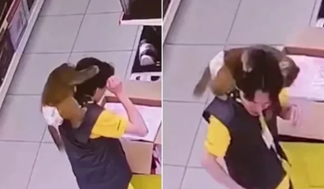 В красноярском магазине обезьяна в подгузнике напала на менеджера