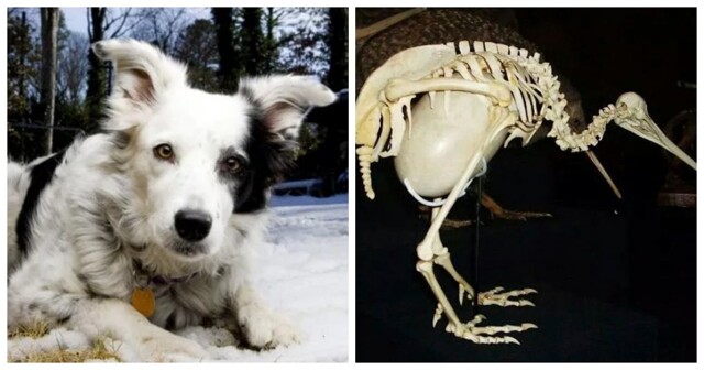 13 неожиданных фактов о мире вокруг нас