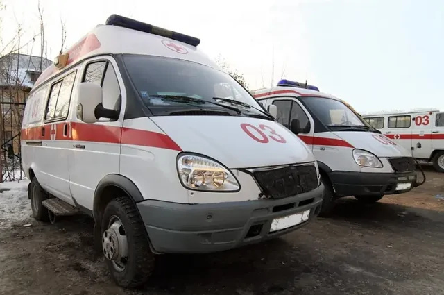 Найден. Жив