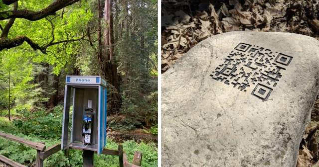 15 загадочных случаев, когда люди находили в лесу вещи и задавались вопросом «откуда они там взялись?»