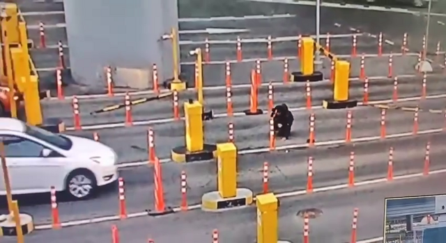 Таксист сбил парковщика на выезде из аэропорта Шереметьево