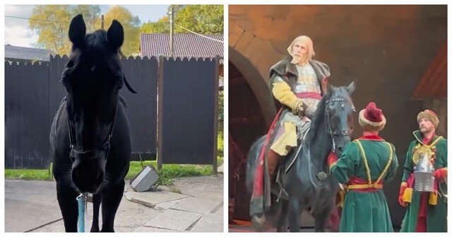 Конь Колян на сцене Большого театра