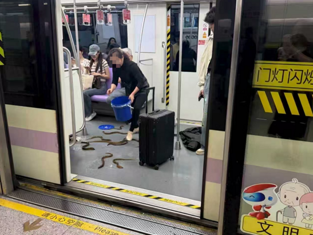 Скользкая ситуация в Шанхае