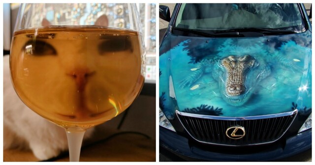 20 забавных моментов, доказывающих, что в нашем мире всегда есть место позитиву