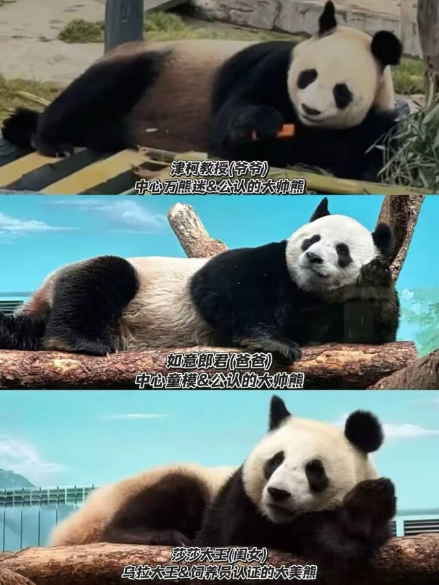 Найдите отличия! Дедушка Катюши, папа Катюши и сама Катюша