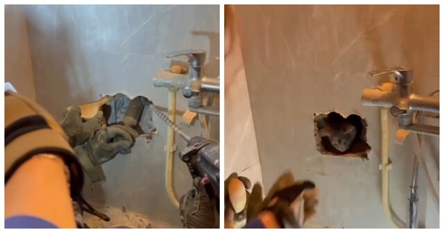 Спасатели вытащили кошку из ловушки за стеной