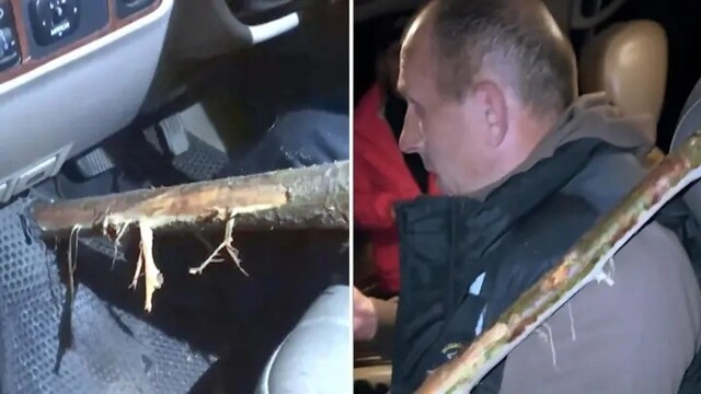 «Пункт назначения» из Коми: деревянная жердь на ходу пробила внедорожник и едва не убила водителя