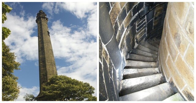 Башня Уэйнхауса – фундаментальный архитектурный каприз