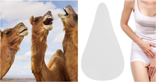 Силиконовые написечники против "верблюжьей лапки": новый модный абсурд