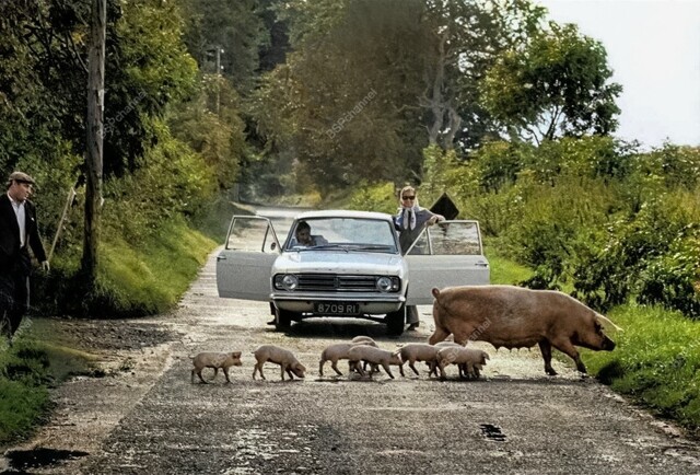 Необычные и интересные снимки из разных стран мира, сделанные в XX веке