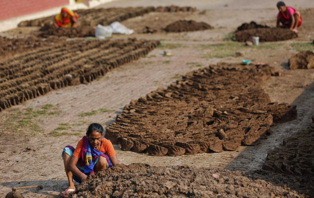 Тут нет победителей — драка коровьим навозом