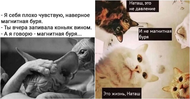 Учёные утверждают, что магнитные бури не влияют на людей