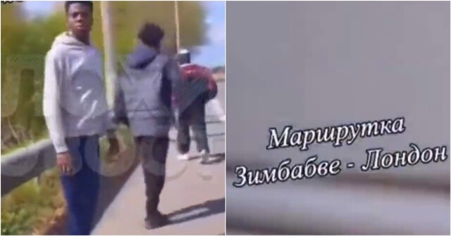 "Вылазь, курва!": эпичная высылка нелегалов на трассе