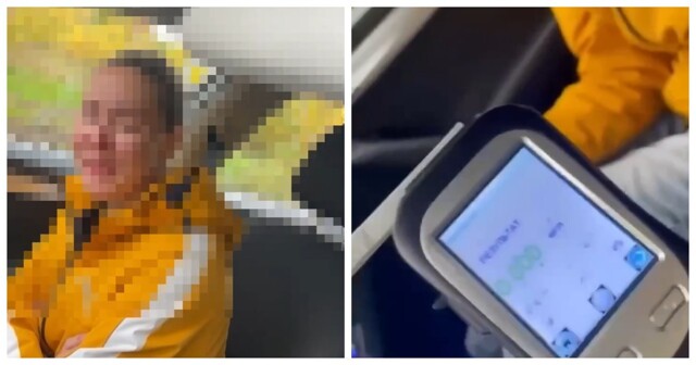 В Каменске-Уральском пьяная лишённая прав женщина устроила истерику при задержании