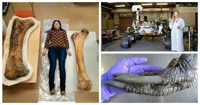 30 впечатляющих фотографий, показывающих реальный масштаб вещей