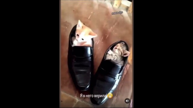 Ц-Целеустремленный!