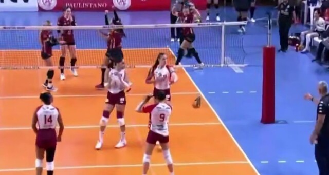 Опоссум выбежал на волейбольную площадку